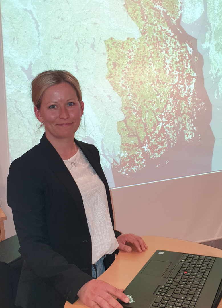 Kulturminneforvaltning i et utviklingsperspektiv v/Ane Ingvil Støen